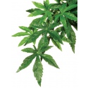 Exo Terra hanging plant Fern 80cm